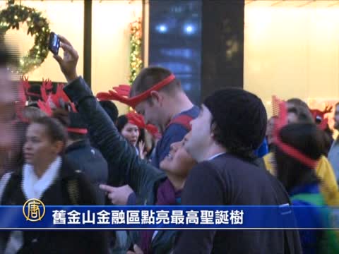 舊金山金融區點亮最高聖誕樹