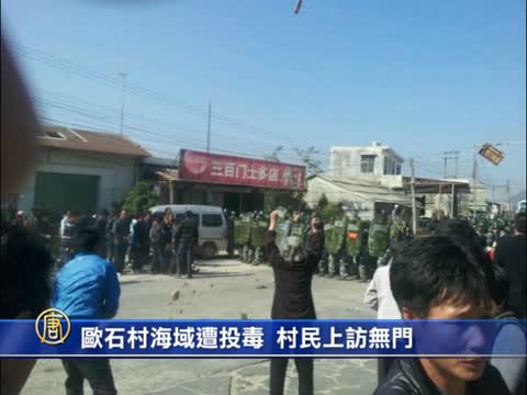 歐石村海域遭投毒 村民上訪無門
