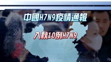 中國H7N9禽流感 疫情向南下發展