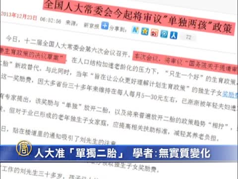 人大批准「單獨二胎」  學者稱無實質變化
