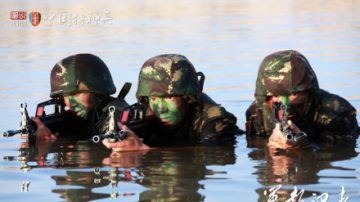 田園：軍報一篇文章可以撒多少謊？