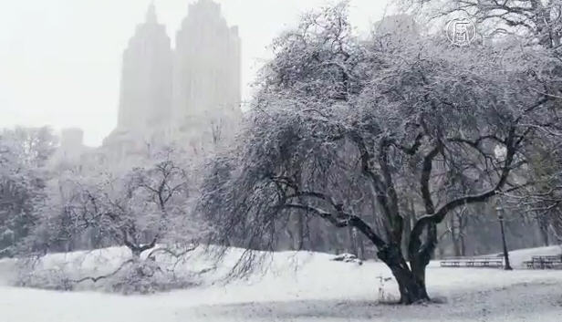 紐約落雪 景象各異