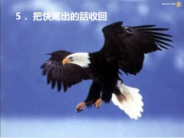 7法訓練情商 職位工資都看漲