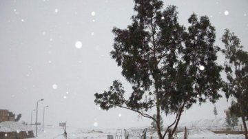 中東氣候反常 開羅112年來首度降雪