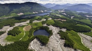 独立报告建议政府批准北方门户输油管道项目