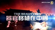 新聞新視野：透析三中全會後 江澤民遭通緝與活摘器官