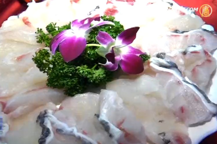 低溫鑽石水養殖 石斑魚活跳肉質美