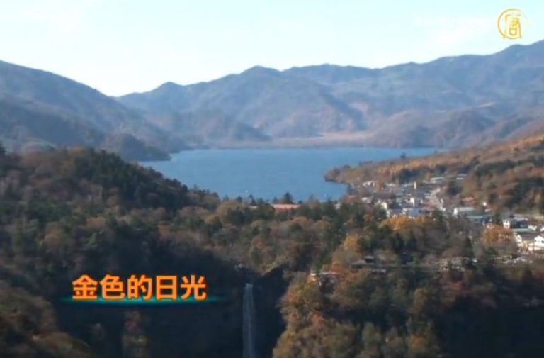 金色的日光
