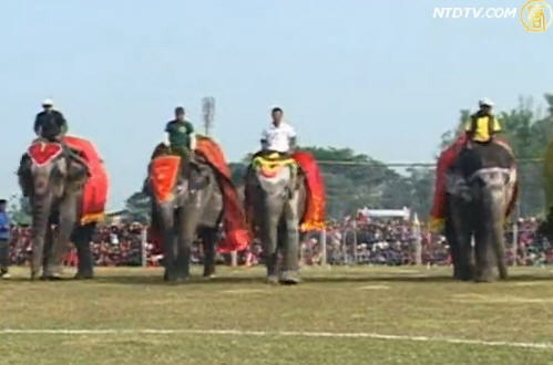 大象濃妝艷抹  比美還要比競技