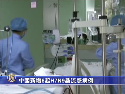 中國新增6起H7N9禽流感病例