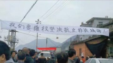 福建千民护滩涂  遭恐吓禁声