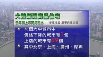 【禁聞】2014年房價預跌50% 任志強首提風險