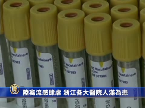 陸禽流感肆虐 浙江各大醫院爆滿