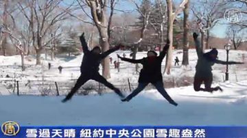 雪过天晴 纽约中央公园雪趣盎然