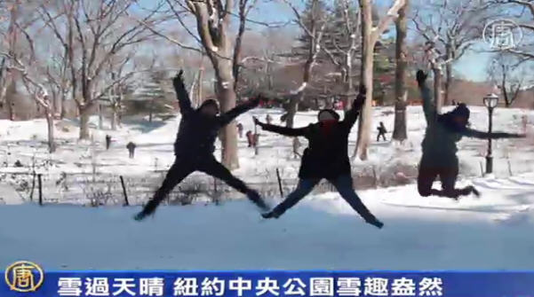 雪過天晴 紐約中央公園雪趣盎然