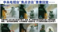 法輪功禁止殺生和自殺