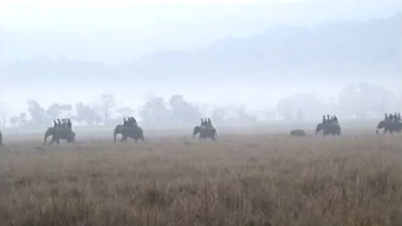 印老象壽終正寢 象群淚眼悲鳴