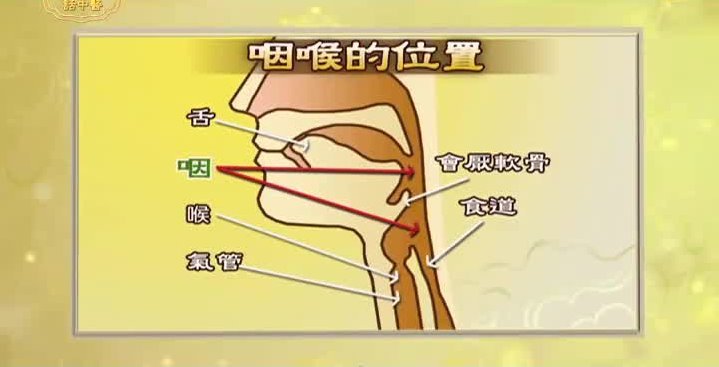 談古論今話中醫：咽喉痛的中醫保健