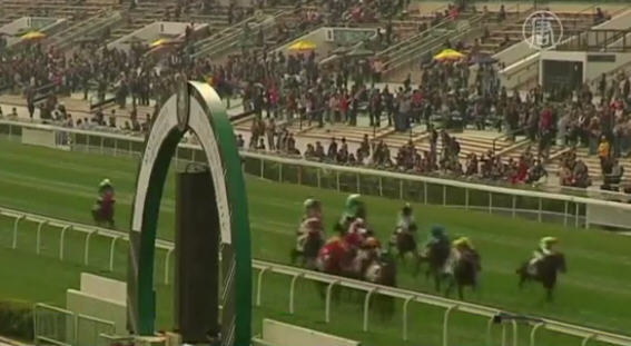 歡度金馬年 香港賽馬場最吸金