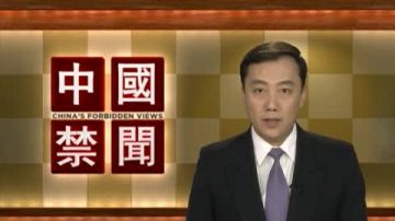 【禁闻】为何大陆高薪相当南非司机水平