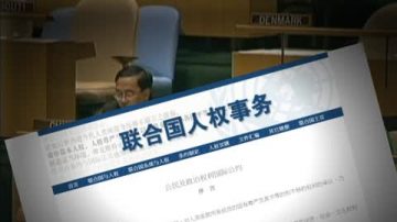 争取公民权 大陆“千万公民大联署”