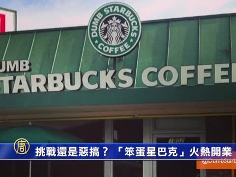 挑戰還是惡搞？「笨蛋星巴克」火熱開業