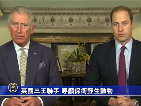 英國三王子聯手 呼籲保衛野生動物