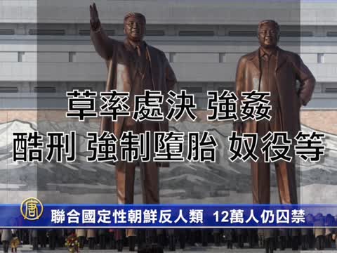 聯合國定性朝鮮反人類 12萬人仍囚禁