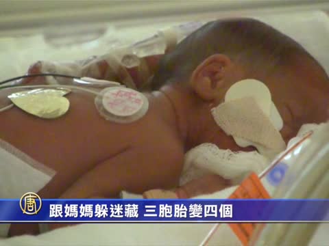 跟媽媽躲迷藏 三胞胎變四個