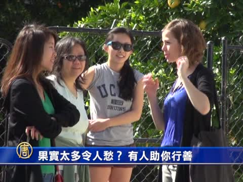 果實太多令人愁？有人助你行善