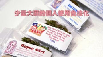 民調：紐約人支持醫用大麻合法化