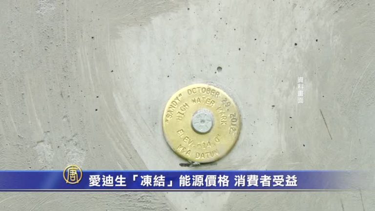「凍結」愛迪生能源價格 消費者受益