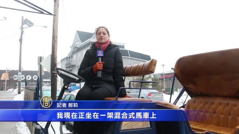 將計就計 紐約觀光馬車服務求變