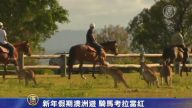新年假期澳洲游 骑马考拉当红