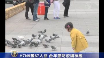 H7N9奪67人命 臺年節防疫繃神經