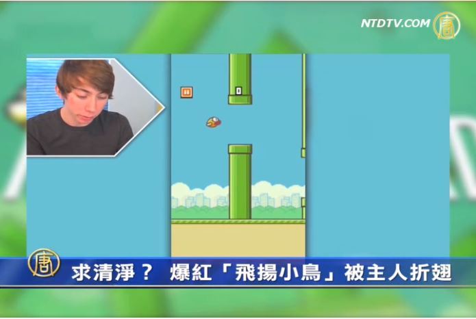 求清淨？爆紅「飛揚小鳥」被主人折翅
