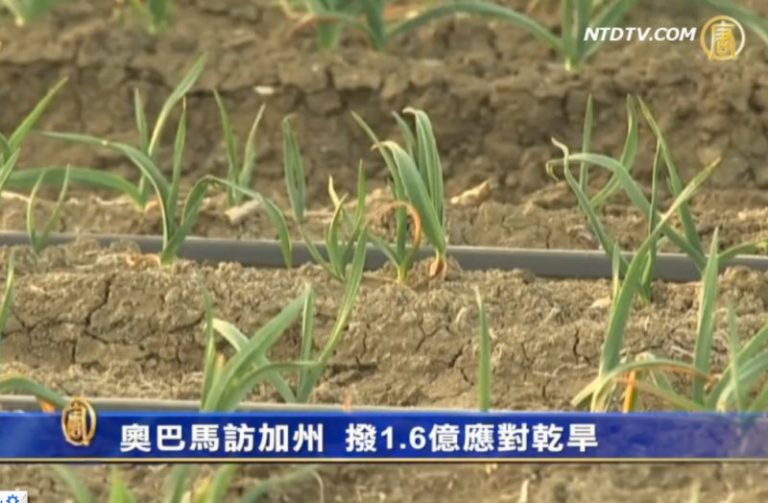 歐巴馬訪加州  撥1.6億應對乾旱