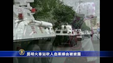 昆明火車站砍人血案緣由被披露