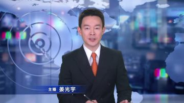 刘云平递表参选六月联邦众议员