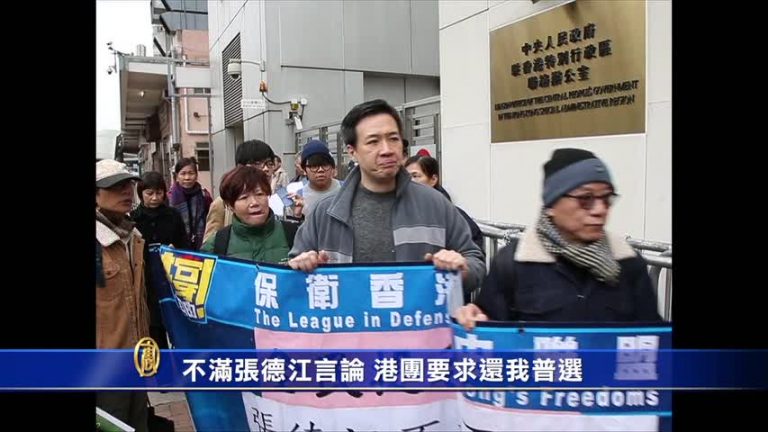 不滿張德江言論 港團要求還我普選