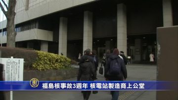 福島核事故3週年 核電站製造商上公堂