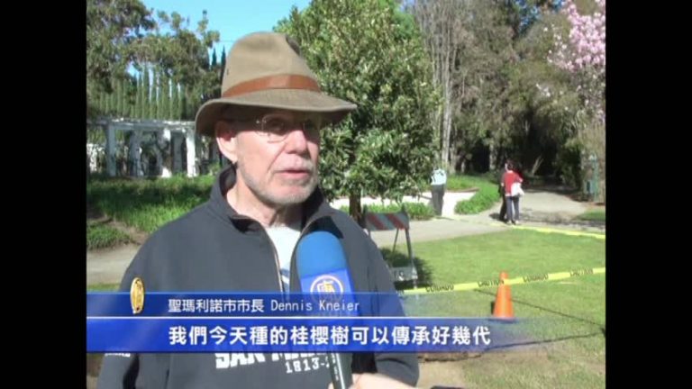 植樹日 聖市華協紀念孫中山