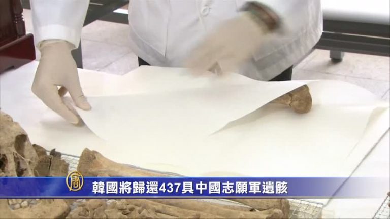 韓國將歸還437具中國志願軍遺骸
