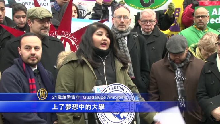 促參院夢想法案 無證青年渴望助學金