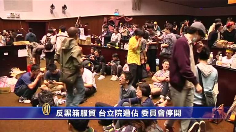 反黑箱服貿 立院遭佔 委員會停開