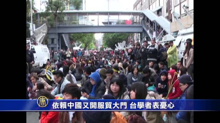 依賴中國又開服貿大門 臺學者表憂心