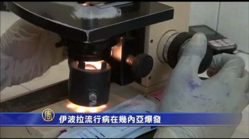 伊波拉流行病在几内亚爆发