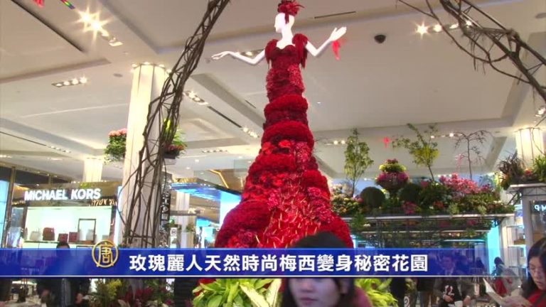 玫瑰麗人天然時尚梅西變身秘密花園