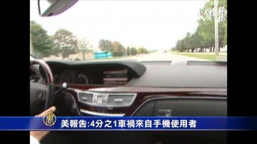 美報告:4分之1車禍來自手機使用者