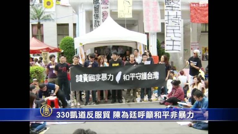 330凱道反服貿 陳為廷呼籲和平非暴力